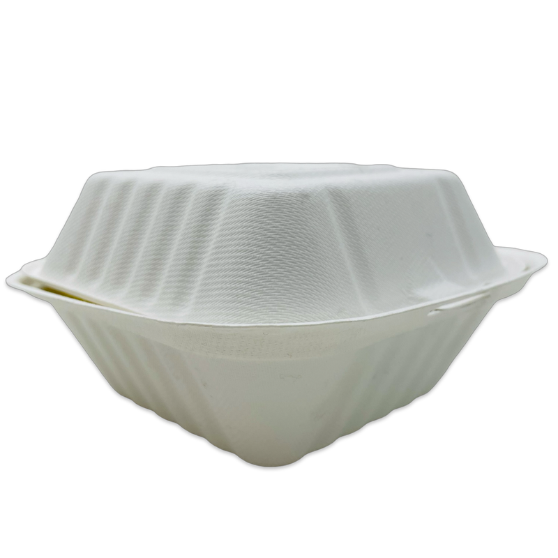Bagasse Hinged Container 6X6 1-Comp