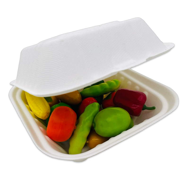 Bagasse Hinged Container 6X6 1-Comp
