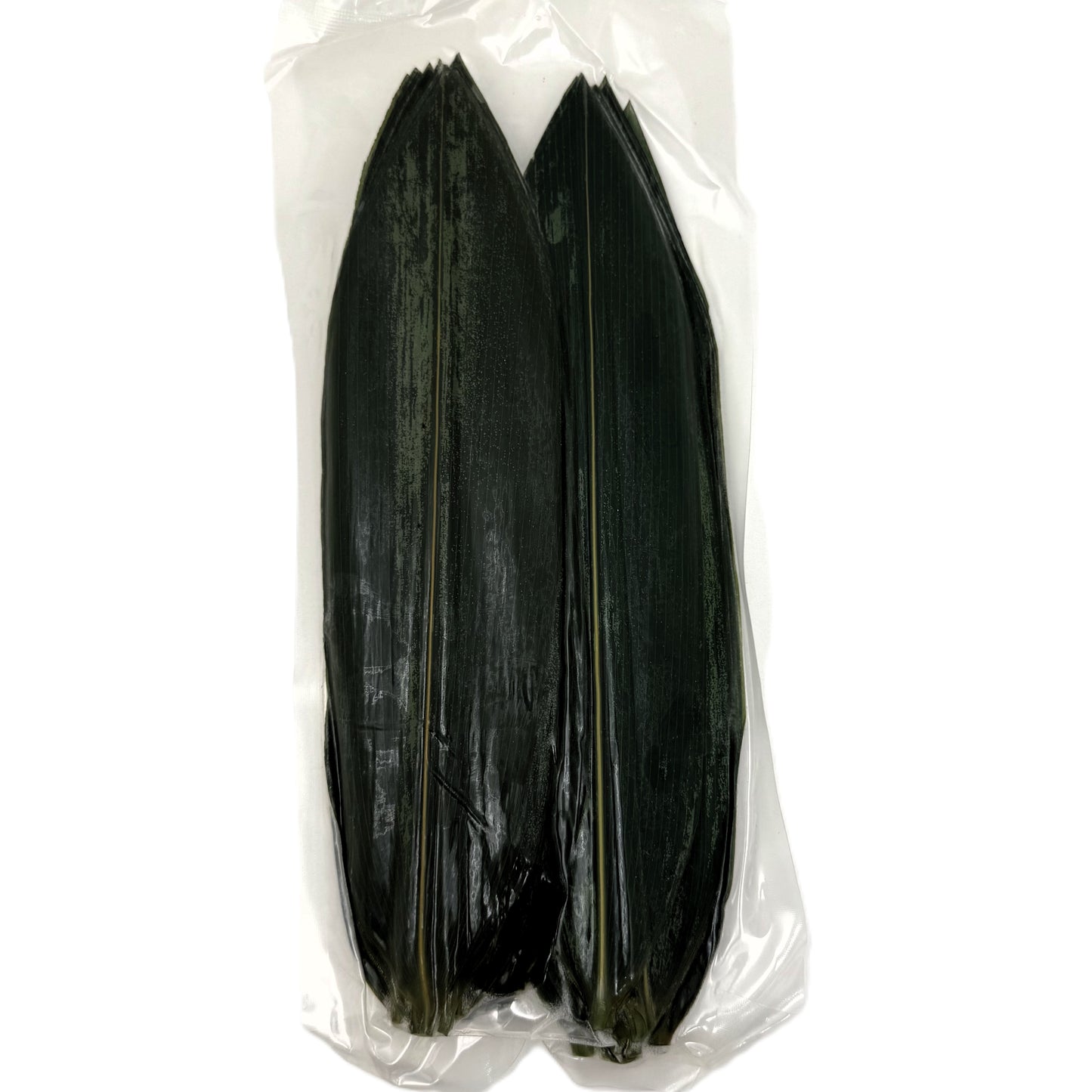 FZ Bamboo Leaf, 32X100